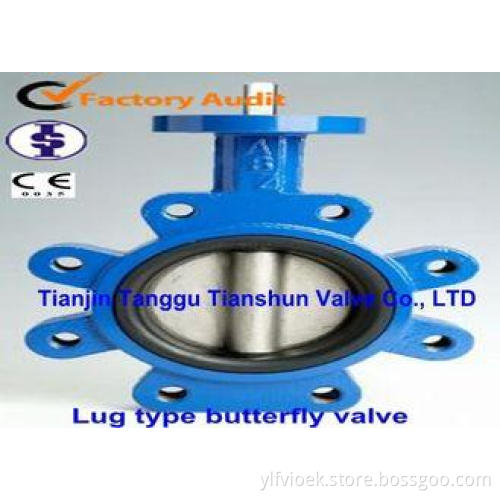 Cast Iron Wafer Lug Butterfly Valve / Tapped Manual Gear Op